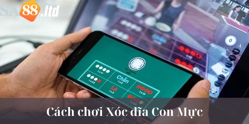 Hướng dẫn cách chơi game Xóc Dĩa Con Mực cho tân thủ