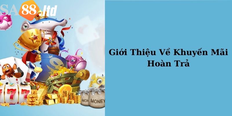 Ưu đãi hoàn trả nhà cái Sa88 là gì?