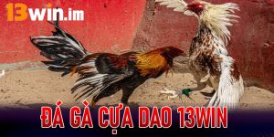 Đá gà cựa dao 13Win