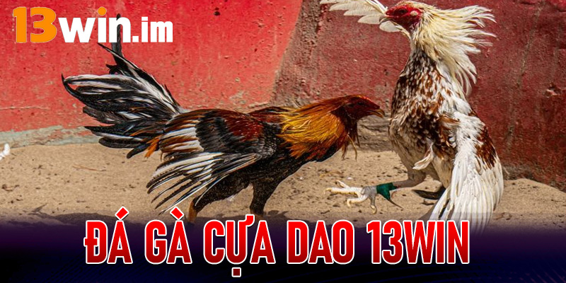 Đá gà cựa dao 13Win